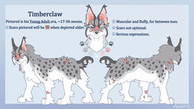 Multi-Side Reference