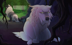 Fullbody + Additional